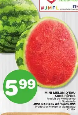 Marches Tradition MINI SEEDLESS WATERMELONS offer