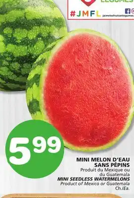 Marches Tradition MINI SEEDLESS WATERMELONS offer