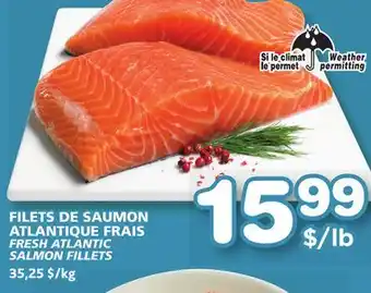 Marches Tradition FRESH ATLANTIC SALMON FILLETS offer