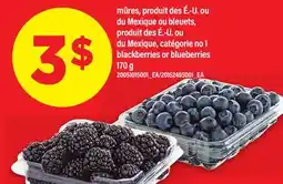 Maxi MÛRES OU BLEUETS | BLACKBERRIES OR BLUEBERRIES, 170 g offer