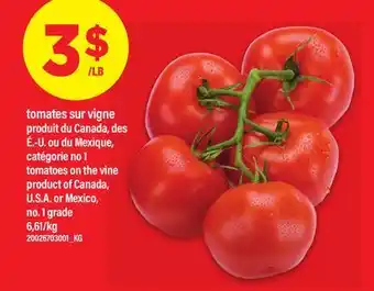 Maxi TOMATES SUR VIGNE | tomatoes on the vine offer