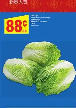 Maxi CHOU NAPA | NAPA CABBAGE offer