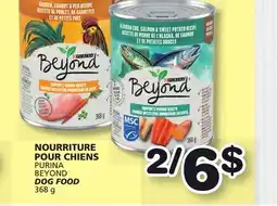 Marches Tradition PURINA BEYOND DOG FOOD offer