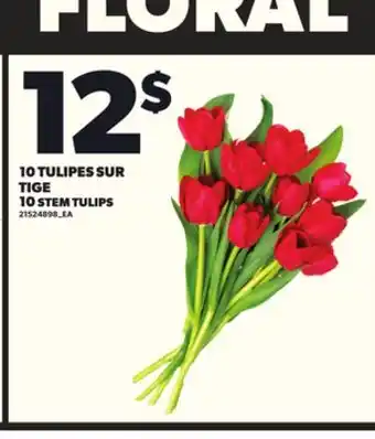 Provigo 10 TULIPES SUR TIGE offer