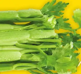 Giant Tiger celery offer