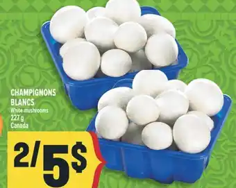 Marché Adonis CHAMPIGNONS BLANCS | WHITE MUSHROOMS offer