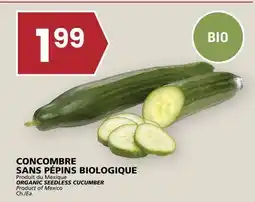 Rachelle-Bery Grocery ORGANIC SEEDLESS CUCUMBER offer