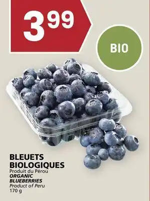 Rachelle-Bery Grocery ORGANIC BLUEBERRIES offer