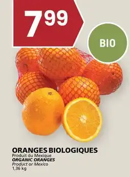 Rachelle-Bery Grocery ORGANIC ORANGES offer