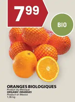 Rachelle-Bery Grocery ORGANIC ORANGES offer