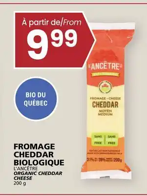 Rachelle-Bery Grocery L'ANCÊTRE ORGANIC CHEDDAR CHEESE offer