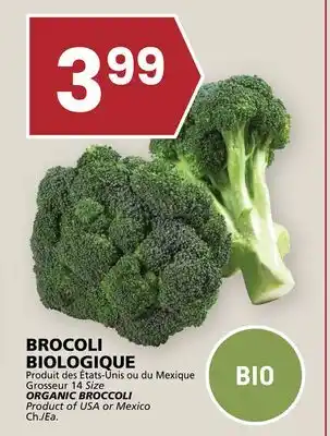 Rachelle-Bery Grocery ORGANIC BROCCOLI offer