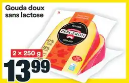 Super C Gouda doux sans lactose offer