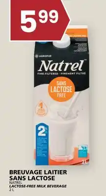 Rachelle-Bery Grocery NATREL LACTOSE-FREE MILK BEVERAGE offer