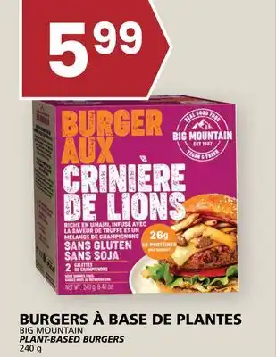 Rachelle-Bery Grocery BIG MOUNTAIN PLANT-BASED BURGERS offer