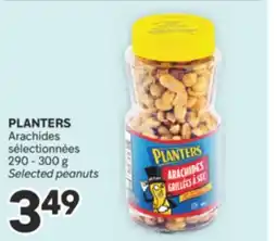 Brunet PLANTERS Arachides sélectionnées offer