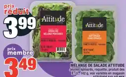 Super C MÉLANGE DE SALADE ATTITUDE | ATTITUDE SALAD MIX offer