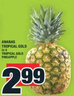 Super C ANANAS TROPICAL GOLD | TROPICAL GOLD PINEAPPLE offer