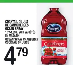 Marche Ami COCKTAIL OU JUS DE CANNEBERGES OCEAN SPRAY | OCEAN SPRAY CRANBERRY COCKTAIL OR JUICE offer