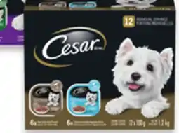 Walmart Cesar Wet Dog Food Variety Pack offer