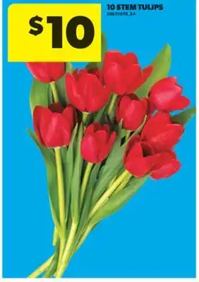 Real Canadian Superstore 10 STEM TULIPS offer