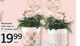 Fortinos ROSAROMA MINI ROSE IN 4 CERAMIC POT offer