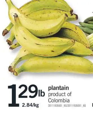 Fortinos plantain plantain offer