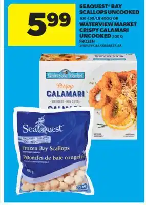 Real Canadian Superstore SEAQUEST BAY SCALLOPS UNCOOKED, 100-150/LB 400 G OR WATERVIEW MARKET CRISPY CALAMARI UNCOOKED, 300 G offer