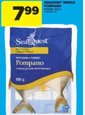 Real Canadian Superstore SEAQUEST WHOLE POMPANO, 800 G offer