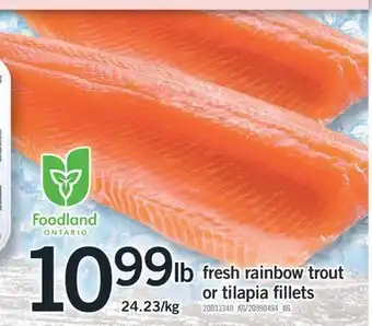 Fortinos FRESH RAINBOW TROUT OR TILAPIA FILLETS offer