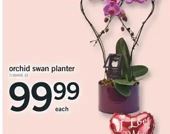 Fortinos ORCHID SWAN PLANTER offer