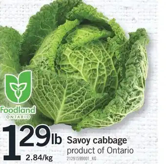 Fortinos SAVOY CABBAGE offer