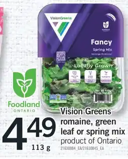 Fortinos VISION GREENS ROMAINE, GREEN LEAF OR SPRING MIX, 113 G offer