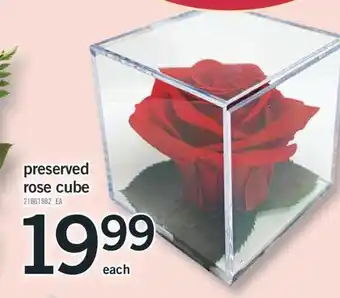 Fortinos PRESERVED ROSE CUBE offer