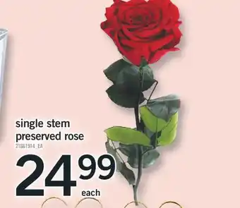 Fortinos SINGLE STEM PRESERVED ROSE offer