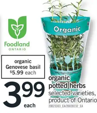 Fortinos ORGANIC POTTED HERBS offer