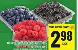 Food Basics RASPBERRIES OR BLACKBERRIES OR BLUEBERRIES offer