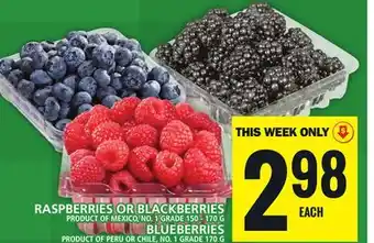 Food Basics RASPBERRIES OR BLACKBERRIES OR BLUEBERRIES offer