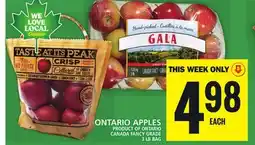 Food Basics ONTARIO APPLES, 3 LB BAG offer