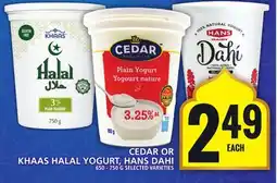 Food Basics CEDAR OR KHAAS HALAL YOGURT, HANS DAHI offer