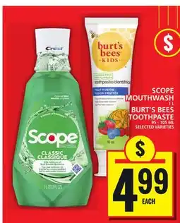 Food Basics SCOPE MOUTHWASH OR BURT'S BEES TOOTHPASTE offer