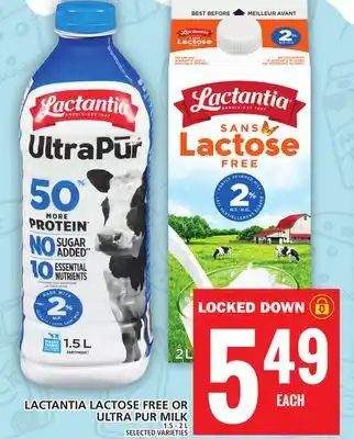 Food Basics LACTANTIA LACTOSE FREE OR ULTRA PUR MILK offer