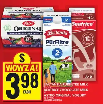 Food Basics LACTANTIA PURFILTRE MILK OR BEATRICE CHOCOLATE MILK OR ASTRO ORIGINAL YOGURT offer