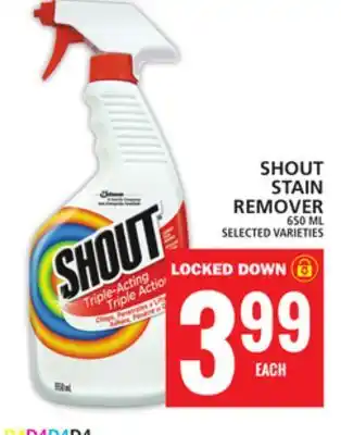 Food Basics SHOUT STAIN REMOVER offer