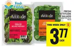 Food Basics FRESH ATTITUDE SALADS offer