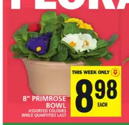 Food Basics FLORA 8 PRIMROSE 8 PRIMROSE offer