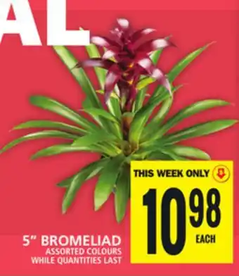 Food Basics 5 BROMELIAD offer