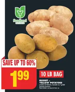 No Frills RUSSET or YELLOW POTATOES, 10 LB BAG offer