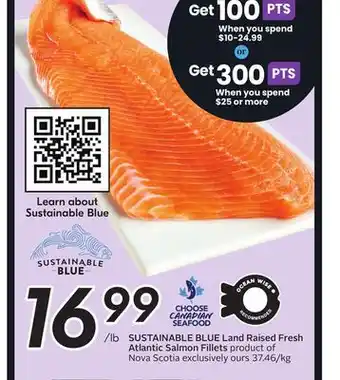 Sobeys SUSTAINABLE BLUE Land Raised Fresh Atlantic Salmon Fillets offer