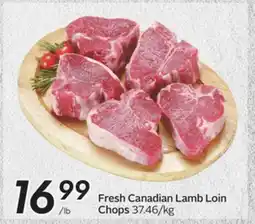 Sobeys Fresh Canadian Lamb Loin Chops offer